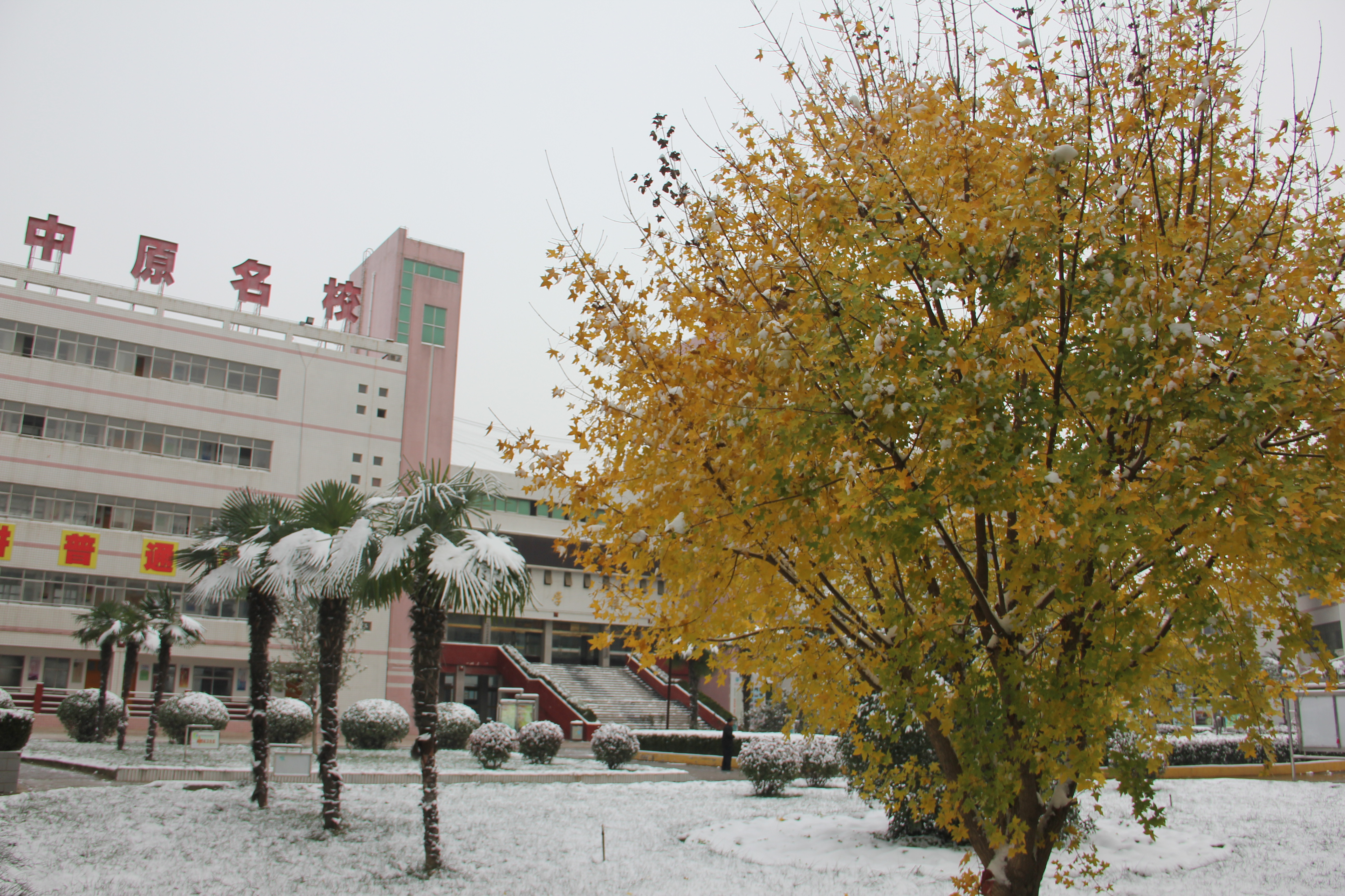 2016年第一场雪校园雪景