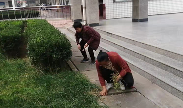 服装旅游专业部教师积极参加卫生大扫除活动